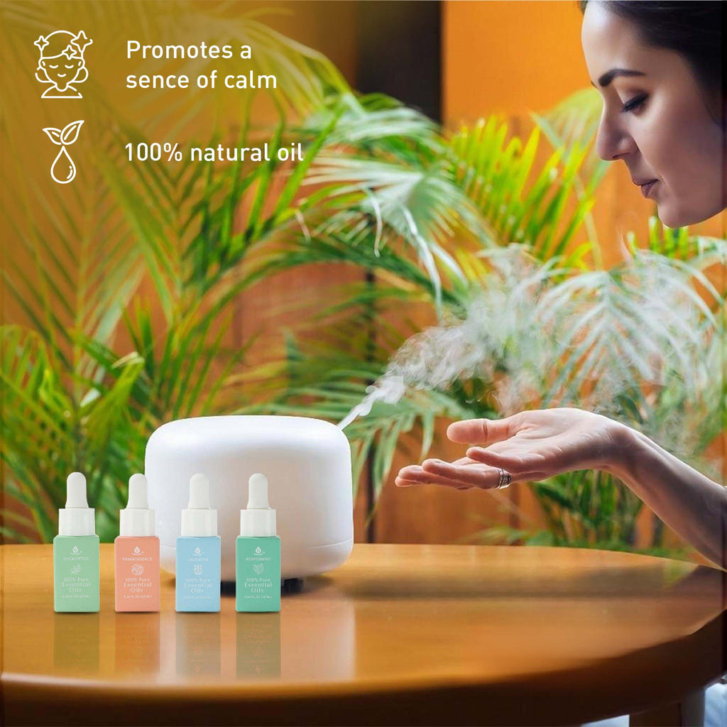 Eco-Friendly Laundry & Wellness Bundle – Detergent Sheets, Wool Dryer Balls, and Essential Oils - Mi tienda